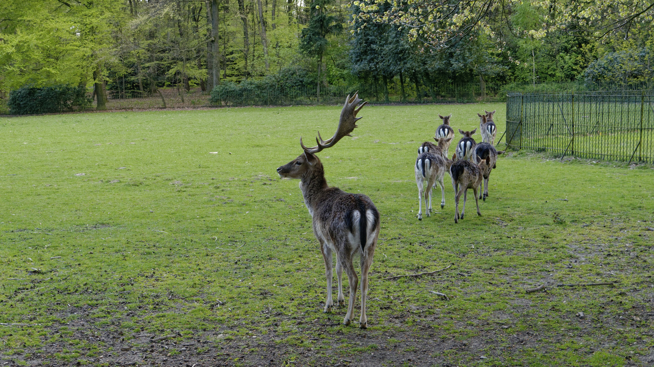20140418 155434•Oosterbeek•Gelderland•Netherlands